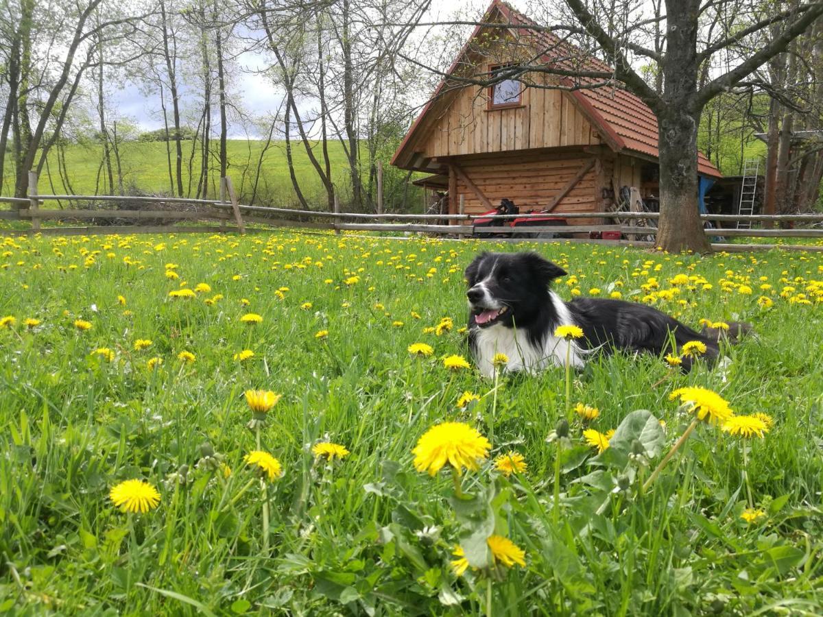 Holiday Home Holiday Raj Bešeňová 外观 照片